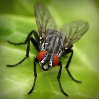 /album/outlet/photolia-a01-jpg/