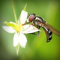 /album/outlet/photolia-a02-jpg/