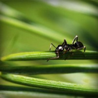 /album/outlet/photolia-a05-jpg/