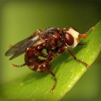 /album/outlet/photolia-a06-jpg/